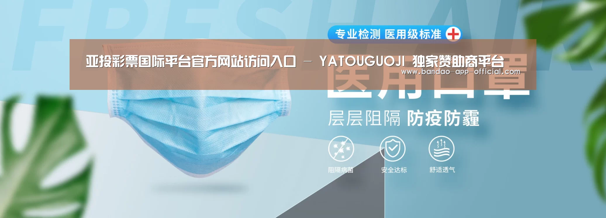某某口罩防护用品有限公司